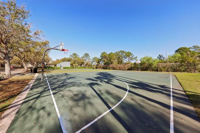 13805 TEA ROSE DRIVE, Orlando, FL 32828