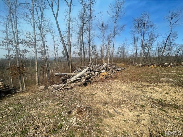 000 Wayne County Road 410, Williamsville, MO 63967