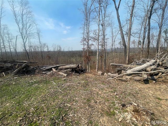 000 Wayne County Road 410, Williamsville, MO 63967