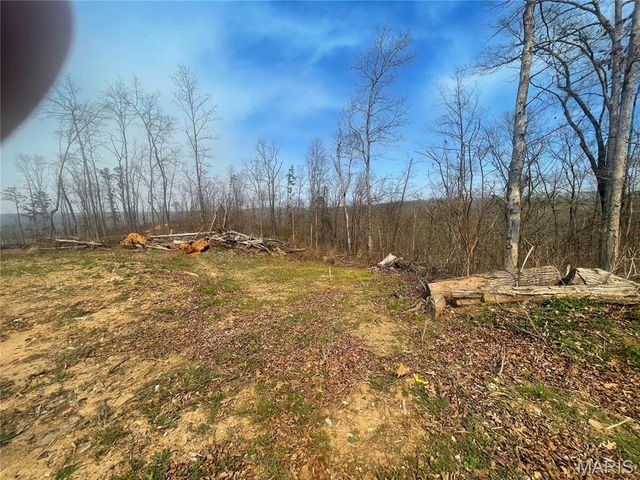 000 Wayne County Road 410, Williamsville, MO 63967