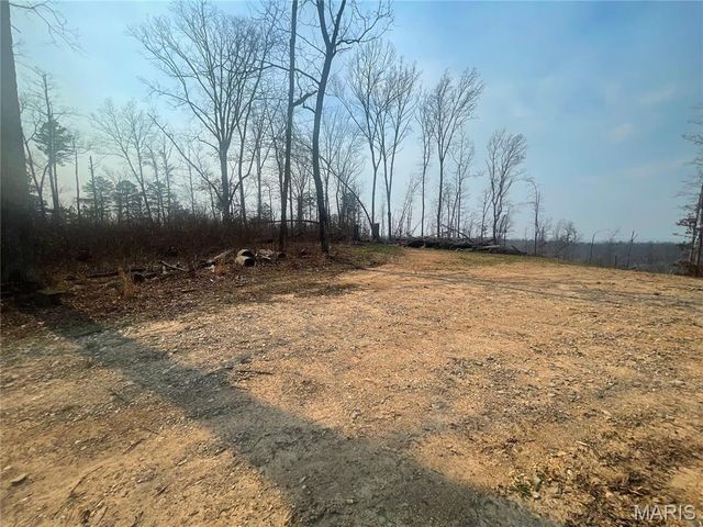 000 Wayne County Road 410, Williamsville, MO 63967