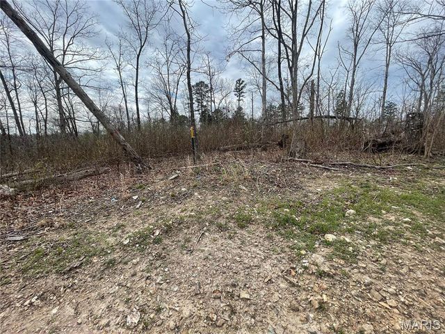 000 Wayne County Road 410, Williamsville, MO 63967