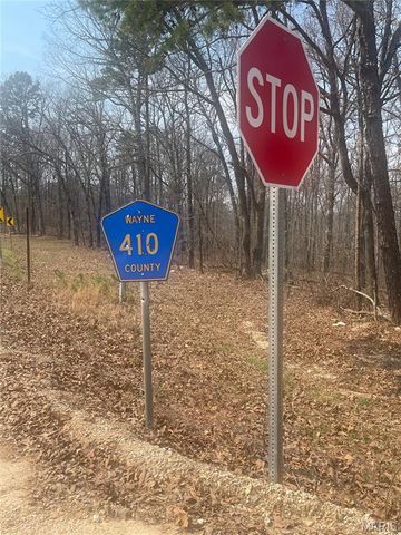 000 Wayne County Road 410, Williamsville, MO 63967