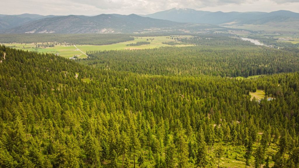 Image 17 of property listing at Nhn Blackjack Road, Plains, MT 59859