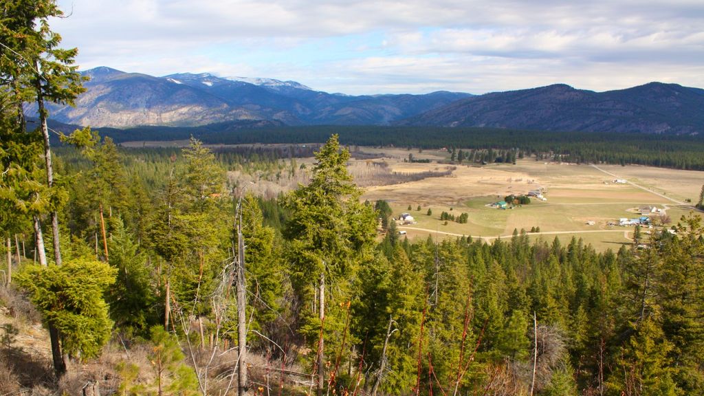 Image 8 of property listing at Nhn Blackjack Road, Plains, MT 59859