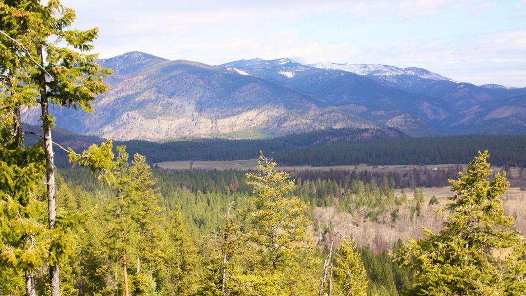 Image 9 of property listing at Nhn Blackjack Road, Plains, MT 59859