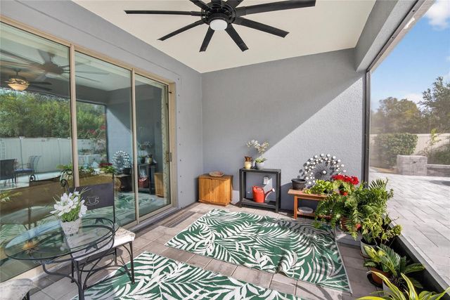 16912 ANCHOR ROOT STREET, Wimauma, FL 33598