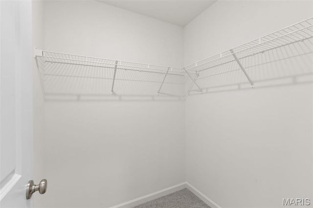 556 Apple Orchard Lane, O'fallon, MO 63385