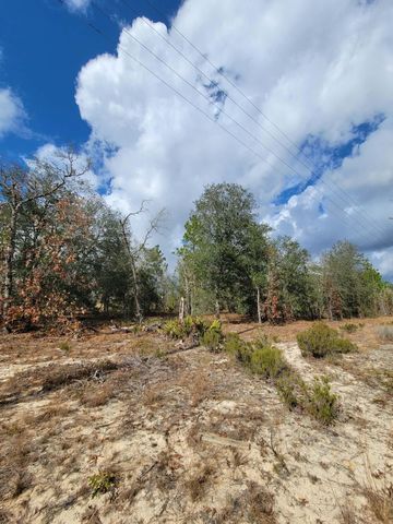 000 Twin Lakes Blvd, Interlachen, FL 32148