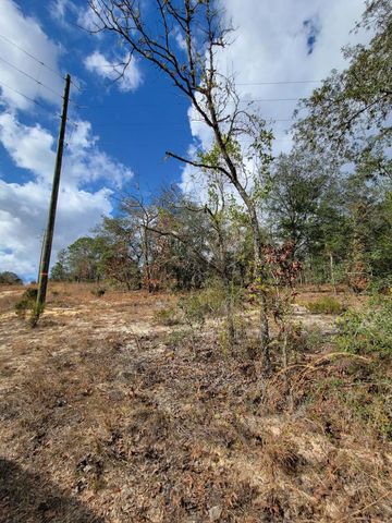 000 Twin Lakes Blvd, Interlachen, FL 32148