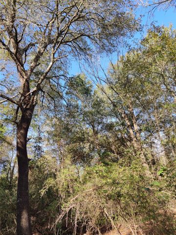 555 Private Road 3428, Milano, TX 76558