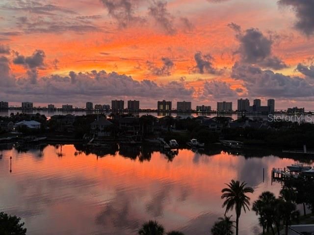 6 BELLEVIEW BOULEVARD 705, Clearwater, FL 33756