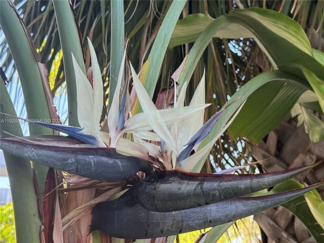 16508 NE 26th Ave 201, North Miami Beach, FL 33160