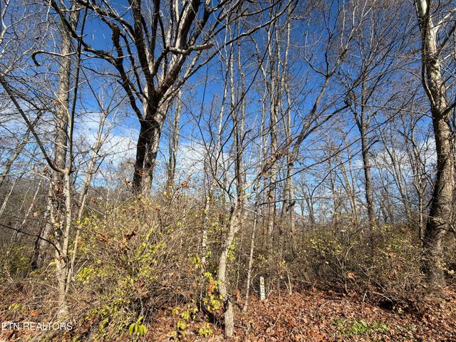 DELLA Lane, Tazewell, TN 37879