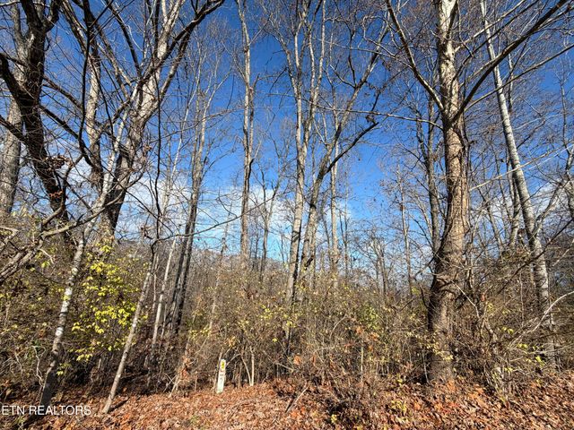 DELLA Lane, Tazewell, TN 37879