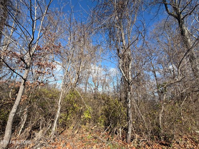 DELLA Lane, Tazewell, TN 37879