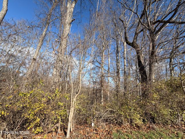 DELLA Lane, Tazewell, TN 37879