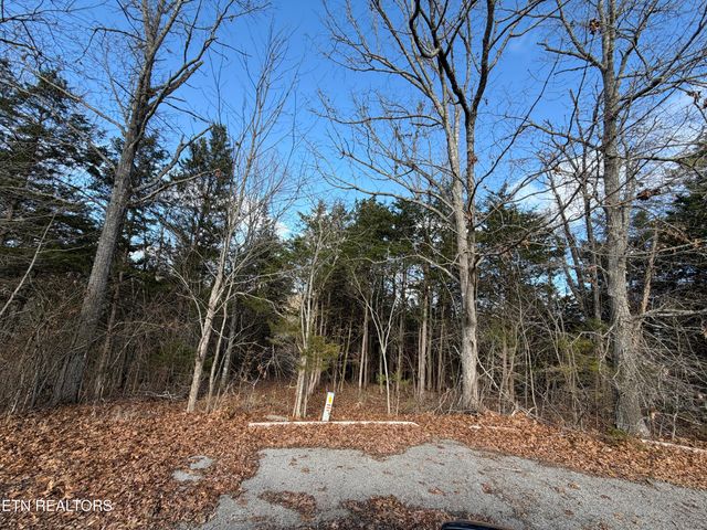 DELLA Lane, Tazewell, TN 37879