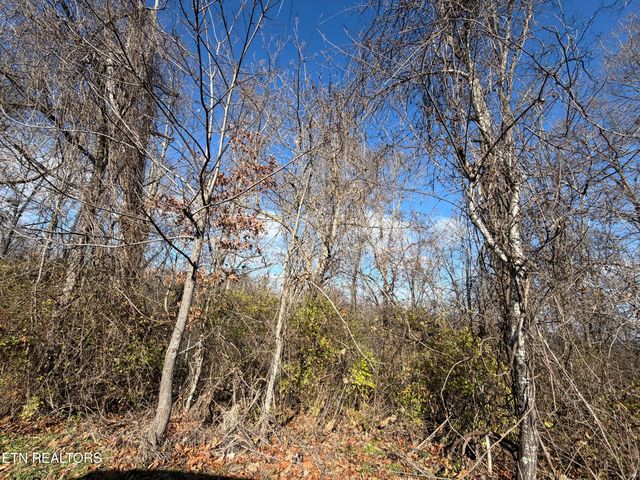 DELLA Lane, Tazewell, TN 37879