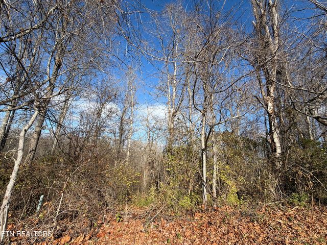 DELLA Lane, Tazewell, TN 37879