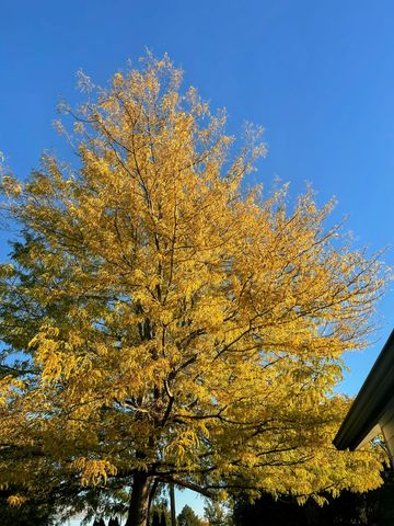 3041 SW Salmon Avenue, Redmond, OR 97756