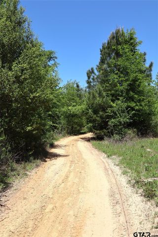 1140 Lot 2 CR-3412, Chandler, TX 75758