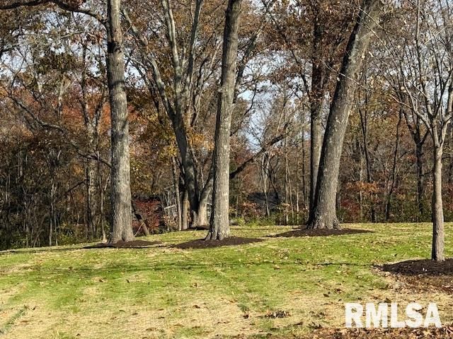 16429 N Hawthorne Hills Drive, Mt Vernon, IL 62864