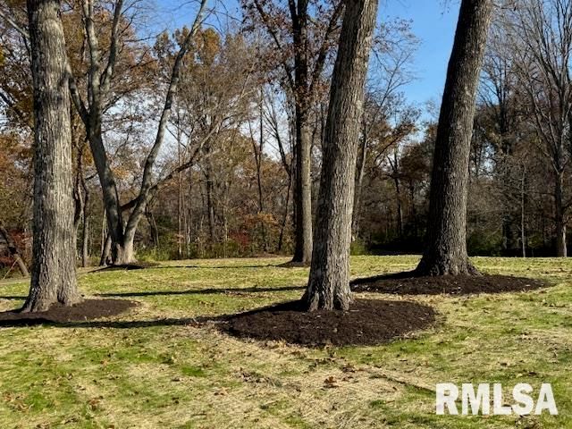 16429 N Hawthorne Hills Drive, Mt Vernon, IL 62864