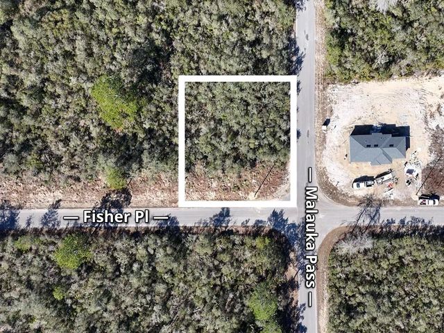 FISHER PASS, Ocklawaha, FL 32179