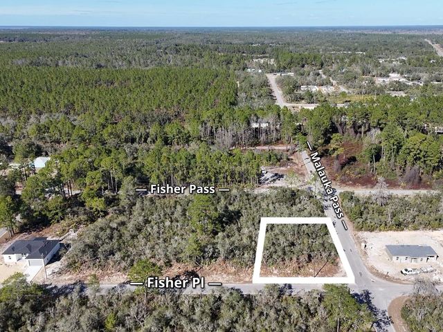 FISHER PASS, Ocklawaha, FL 32179