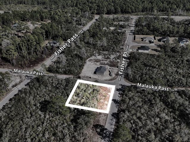 FISHER PASS, Ocklawaha, FL 32179