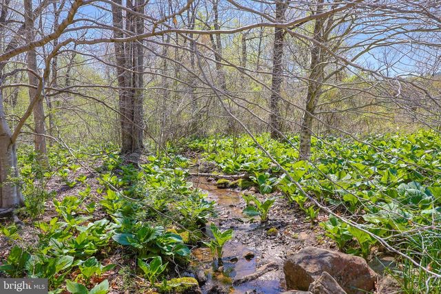 45 SHOOTZ HOLLOW RD, Huntly, VA 22640