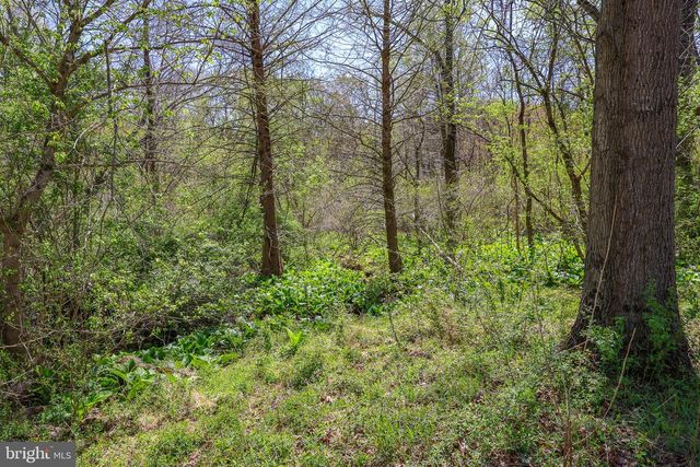 45 SHOOTZ HOLLOW RD, Huntly, VA 22640