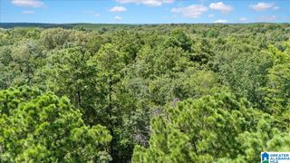 2745 COUNTY ROAD 54, Montevallo, AL 35115