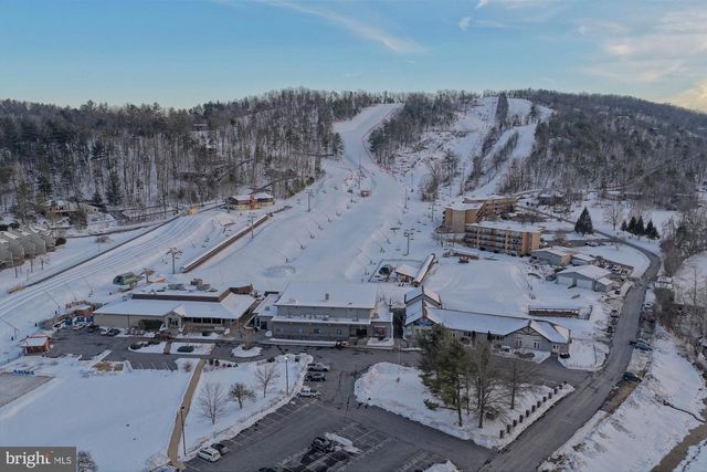 167 WILLIAMS LN, Basye, VA 22810