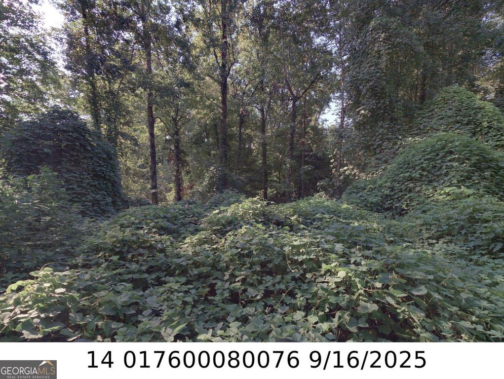 0 Newman Place NW, Atlanta, GA 30318