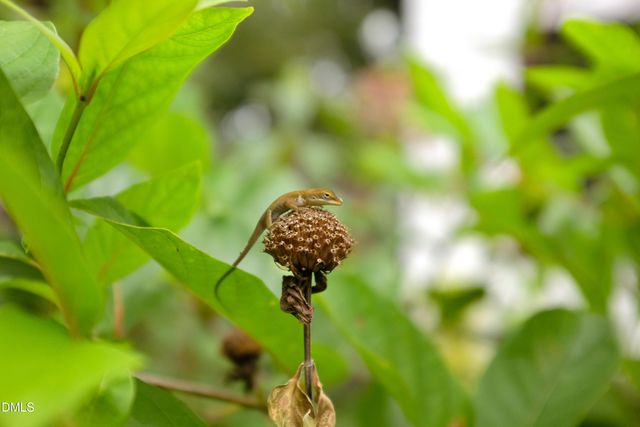 825 W Markham Avenue, Durham, NC 27701