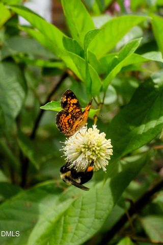 825 W Markham Avenue, Durham, NC 27701