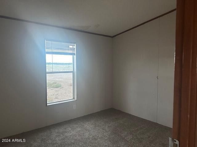 4256 W GLEESON Road, Elfrida, AZ 85610