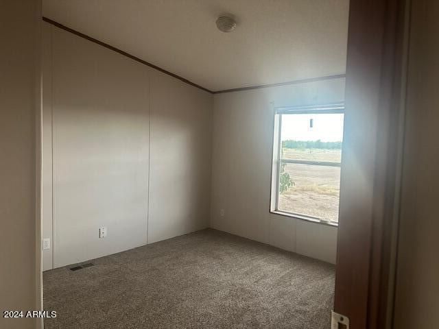 4256 W GLEESON Road, Elfrida, AZ 85610