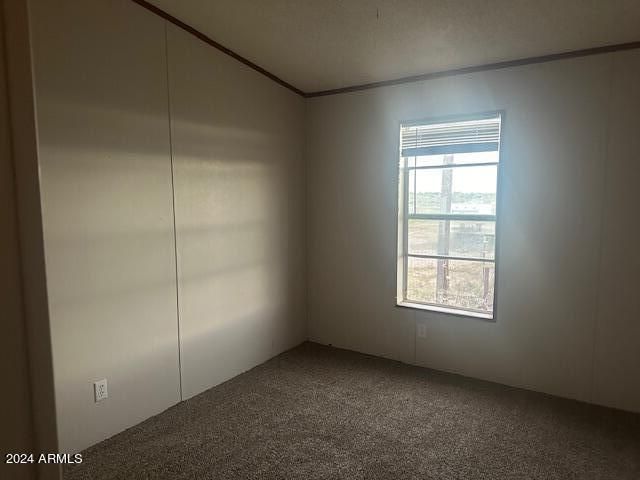 4256 W GLEESON Road, Elfrida, AZ 85610