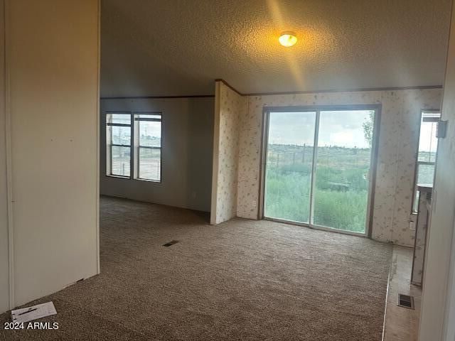 4256 W GLEESON Road, Elfrida, AZ 85610