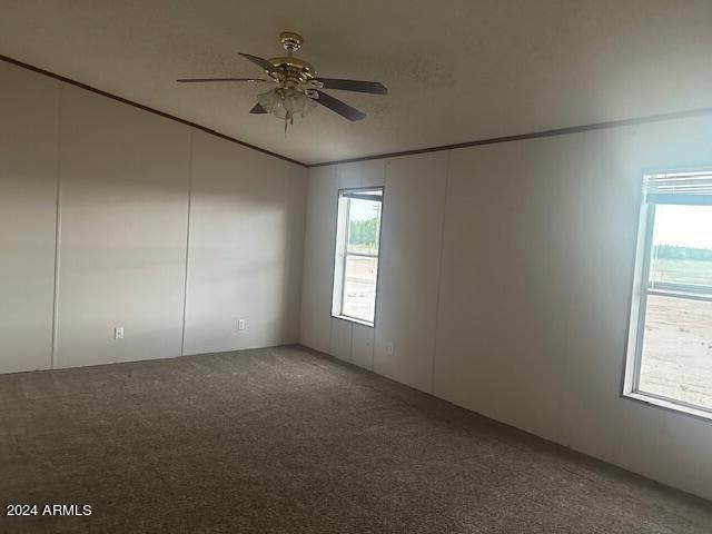 4256 W GLEESON Road, Elfrida, AZ 85610