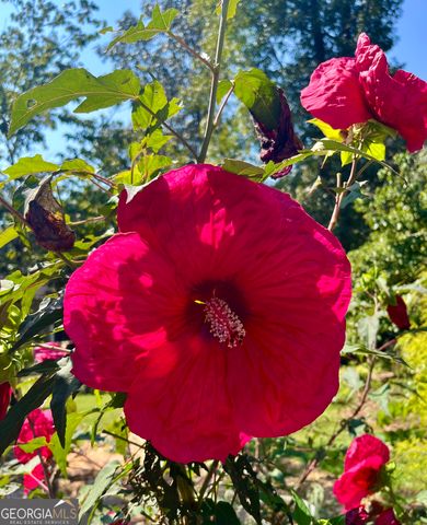 665 Island Shoals Road, Covington, GA 30016