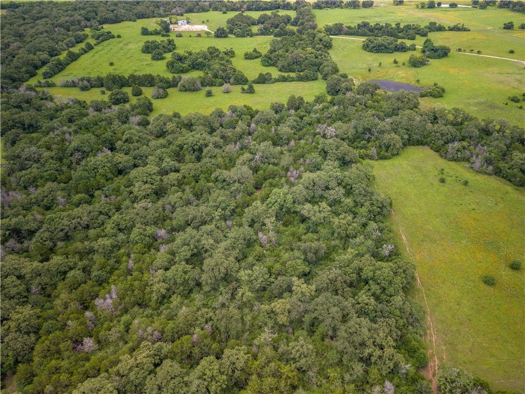 10102 Ferrill Creek Rd, Bryan, TX 77808 — photo 3