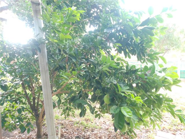 4322 Fir St, Corpus Christi, TX 78411