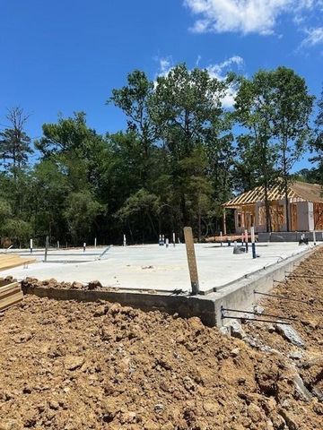 112 Spotted Wood Court, Willis, TX 77318