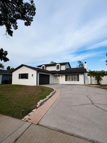 16209 W COURSE DRIVE, Tampa, FL 33624