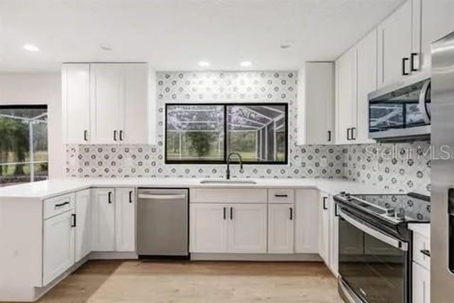 16209 W COURSE DRIVE, Tampa, FL 33624