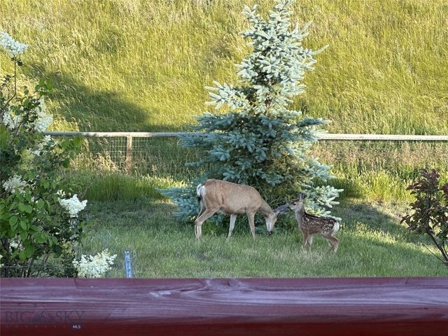 1006 Eagle Court, Livingston, MT 59047